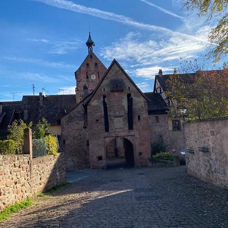Riquewihr Centre Historique Lägenhet Exteriör bild